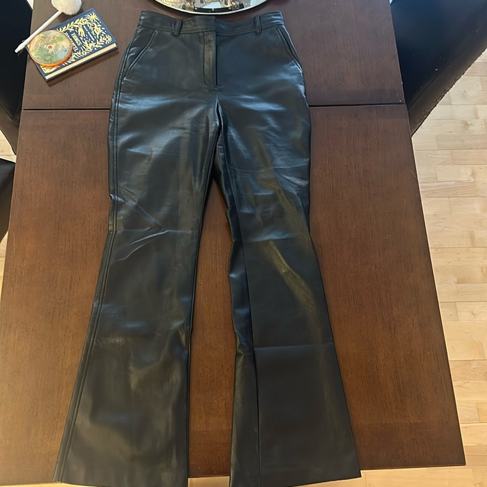Aritzia Babaton Faux Leather Program Pant